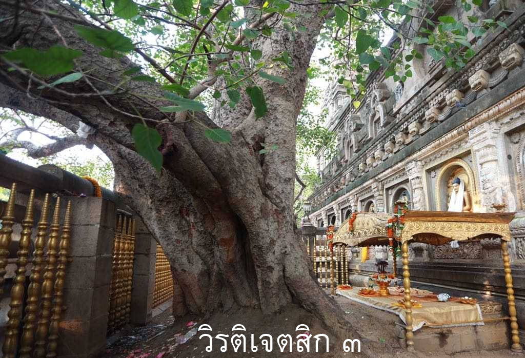 วิรติเจตสิก ๓