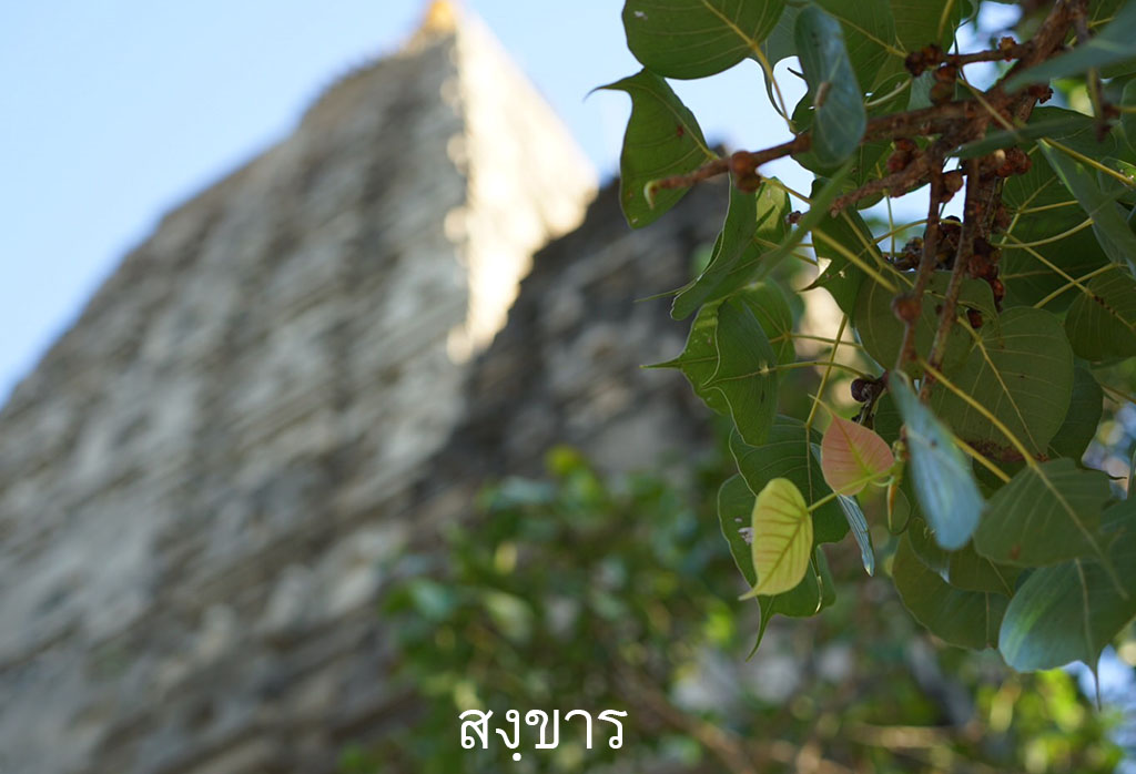 สงฺขาร
